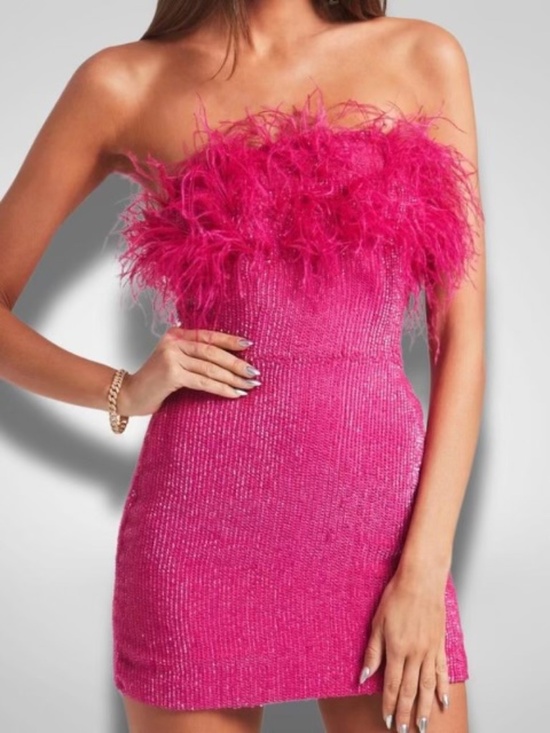 Retrofete Dresses & Skirts - Retrofete Torin Sequin Feather Dress hot pink